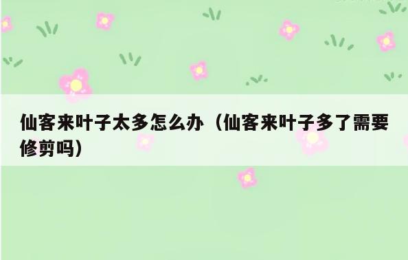 仙客来叶子太多怎么办(仙客来叶子多了需要修剪吗)