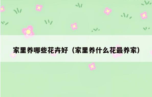 家里养哪些花卉好(家里养什么花最养家)