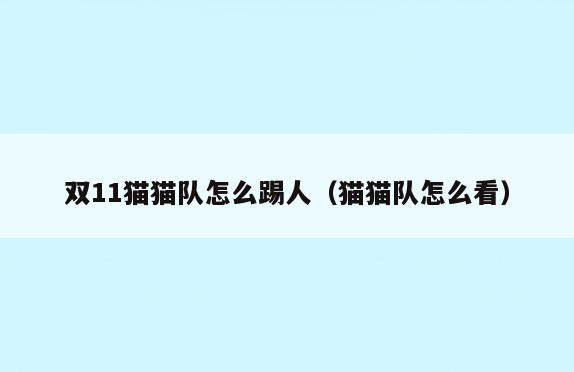 双11猫猫队怎么踢人(猫猫队怎么看)