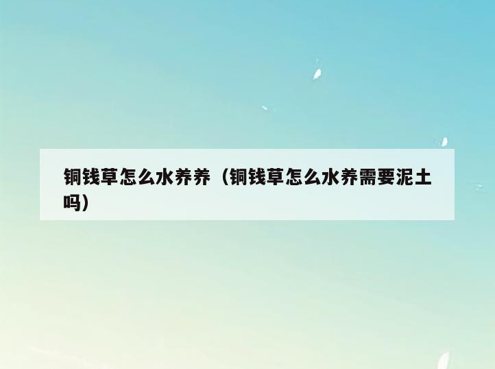 铜钱草怎么水养养(铜钱草怎么水养需要泥土吗)