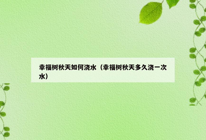 幸福树秋天如何浇水(幸福树秋天多久浇一次水)