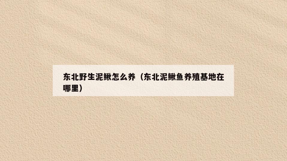 东北野生泥鳅怎么养(东北泥鳅鱼养殖基地在哪里)