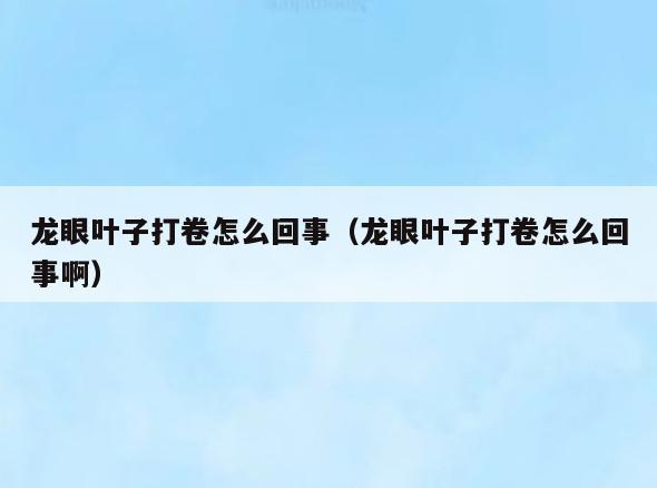 龙眼叶子打卷怎么回事(龙眼叶子打卷怎么回事啊)