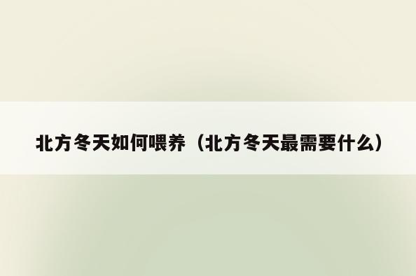 北方冬天如何喂养(北方冬天最需要什么)
