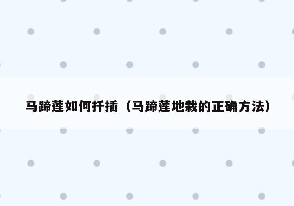 马蹄莲如何扦插(马蹄莲地栽的正确方法)