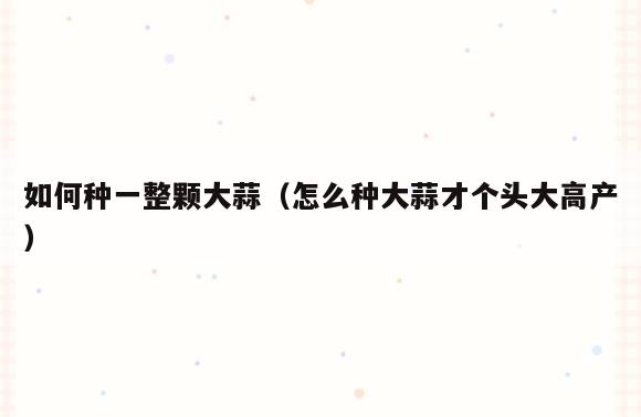 如何种一整颗大蒜(怎么种大蒜才个头大高产)