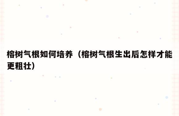 榕树气根如何培养(榕树气根生出后怎样才能更粗壮)