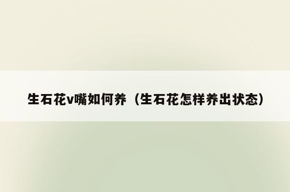 生石花v嘴如何养(生石花怎样养出状态)