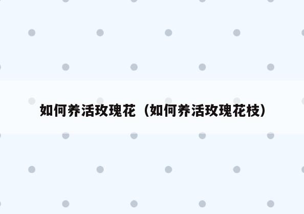 如何养活玫瑰花(如何养活玫瑰花枝)