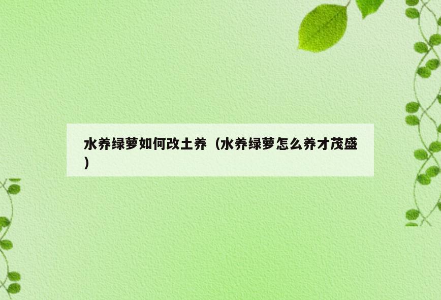 水养绿萝如何改土养(水养绿萝怎么养才茂盛)