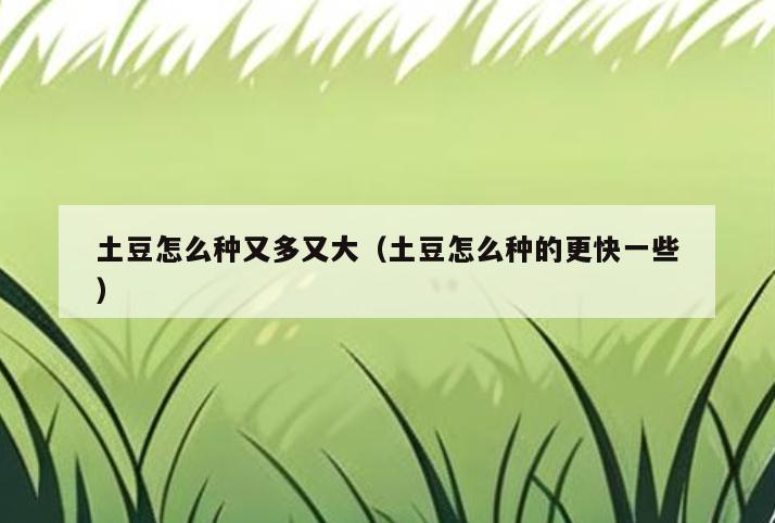 土豆怎么种又多又大(土豆怎么种的更快一些)