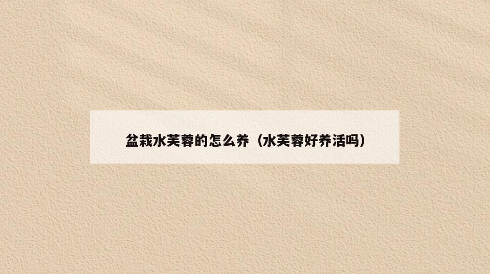 盆栽水芙蓉的怎么养(水芙蓉好养活吗)