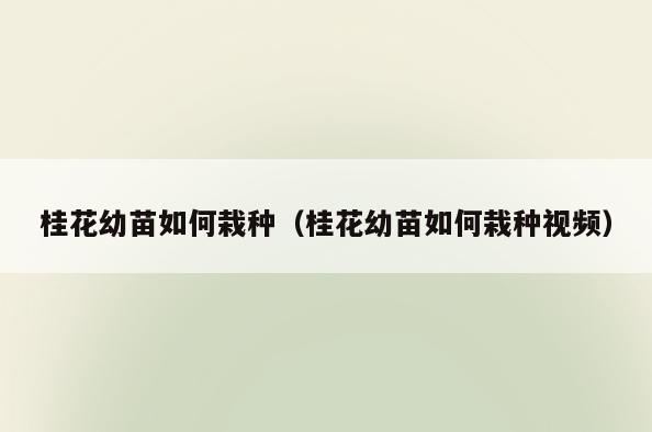 桂花幼苗如何栽种(桂花幼苗如何栽种视频)