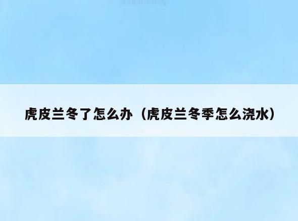 虎皮兰冬了怎么办(虎皮兰冬季怎么浇水)