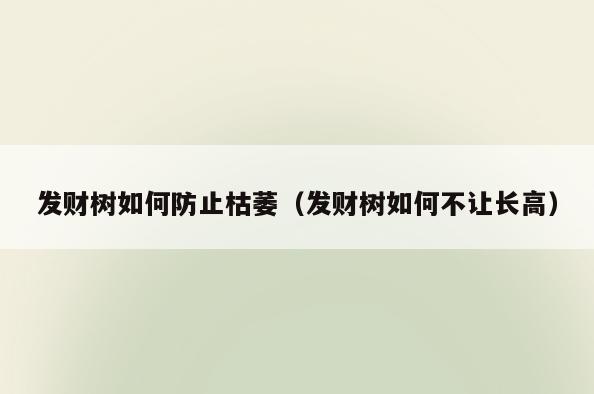 发财树如何防止枯萎(发财树如何不让长高)