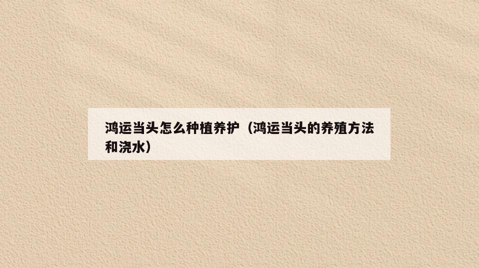 鸿运当头怎么种植养护(鸿运当头的养殖方法和浇水)
