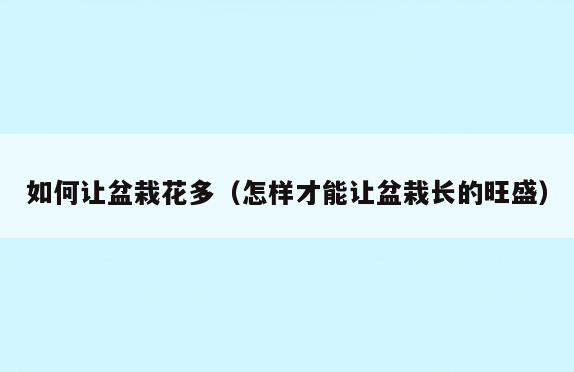 如何让盆栽花多(怎样才能让盆栽长的旺盛)