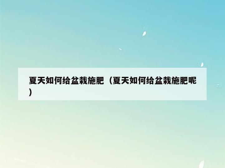 夏天如何给盆栽施肥(夏天如何给盆栽施肥呢)
