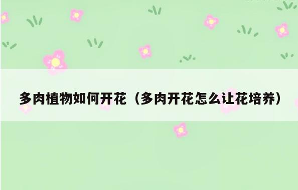 多肉植物如何开花(多肉开花怎么让花培养)