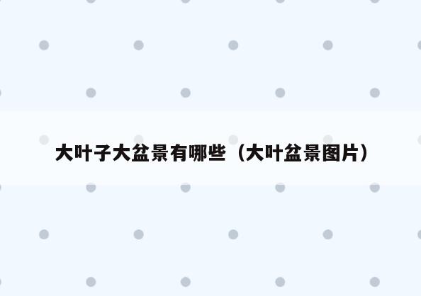 大叶子大盆景有哪些(大叶盆景图片)