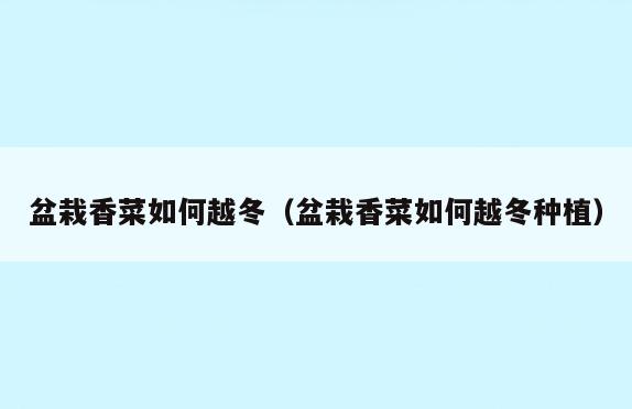 盆栽香菜如何越冬(盆栽香菜如何越冬种植)