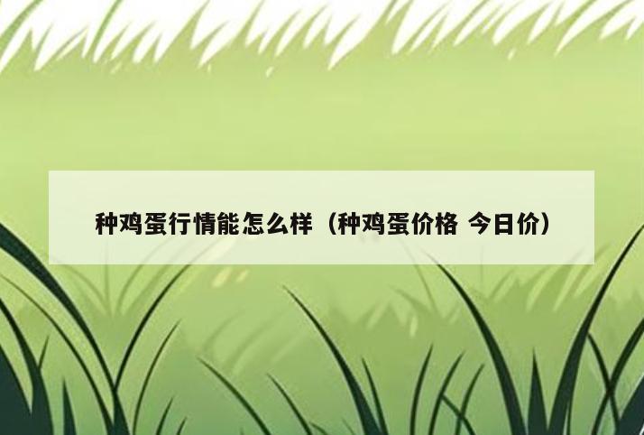 种鸡蛋行情能怎么样(种鸡蛋价格 今日价)