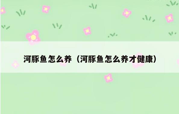 河豚鱼怎么养(河豚鱼怎么养才健康)