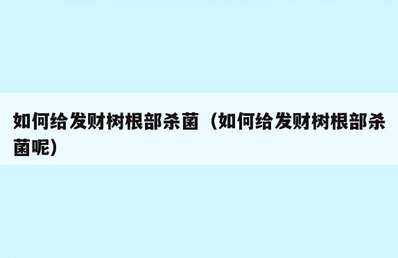 如何给发财树根部杀菌(如何给发财树根部杀菌呢)