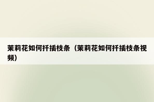 茉莉花如何扦插枝条(茉莉花如何扦插枝条视频)