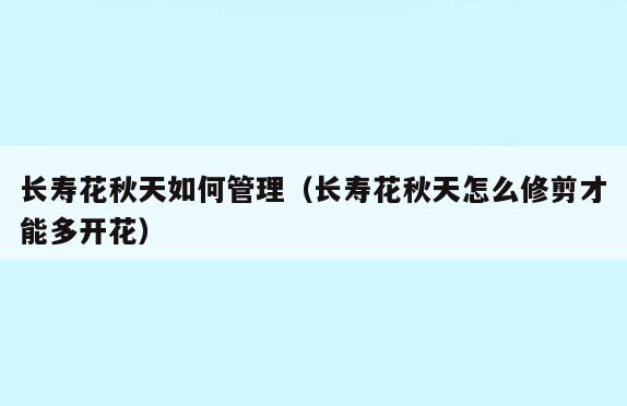 长寿花秋天如何管理(长寿花秋天怎么修剪才能多开花)