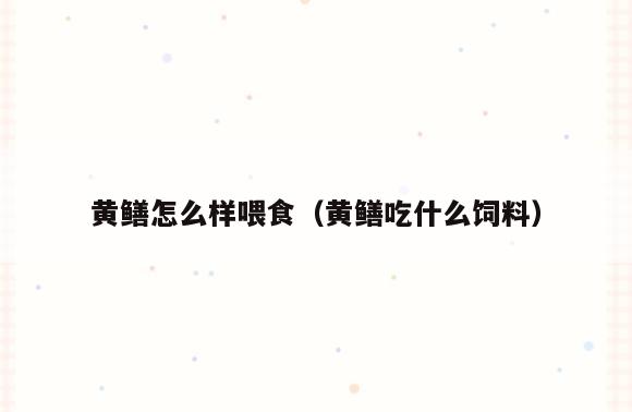 黄鳝怎么样喂食(黄鳝吃什么饲料)