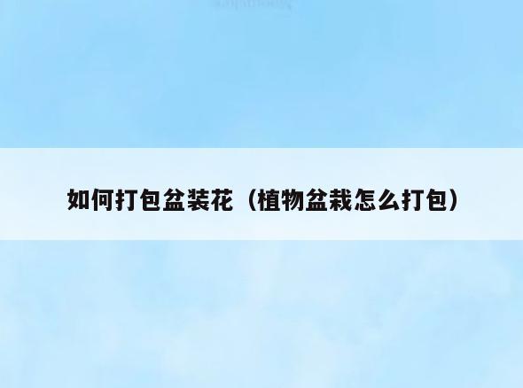 如何打包盆装花(植物盆栽怎么打包)