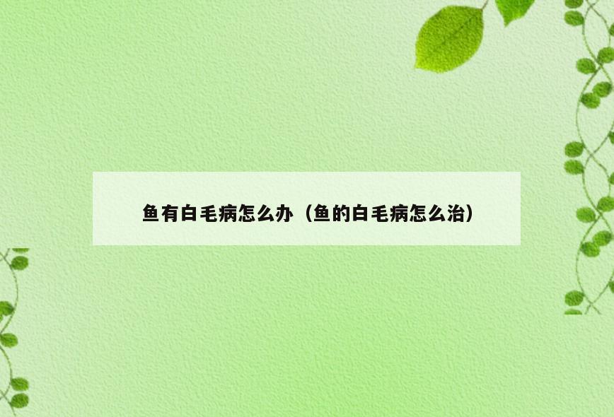 鱼有白毛病怎么办(鱼的白毛病怎么治)