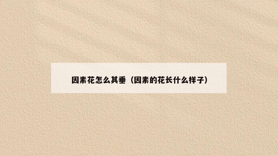 因素花怎么其垂(因素的花长什么样子)