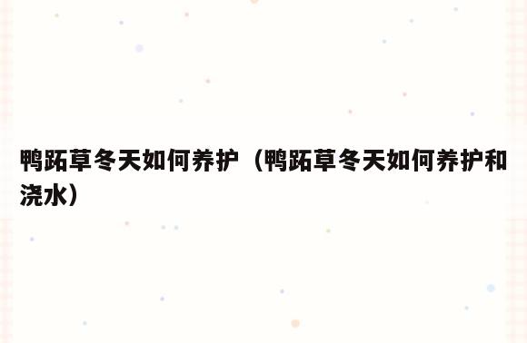 鸭跖草冬天如何养护(鸭跖草冬天如何养护和浇水)