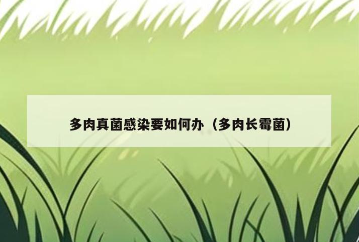 多肉真菌感染要如何办(多肉长霉菌)