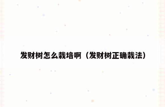 发财树怎么栽培啊(发财树正确栽法)