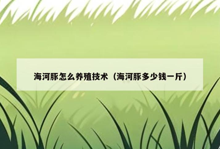 海河豚怎么养殖技术(海河豚多少钱一斤)