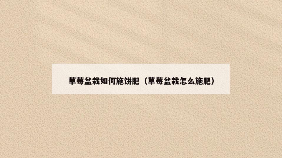 草莓盆栽如何施饼肥(草莓盆栽怎么施肥)