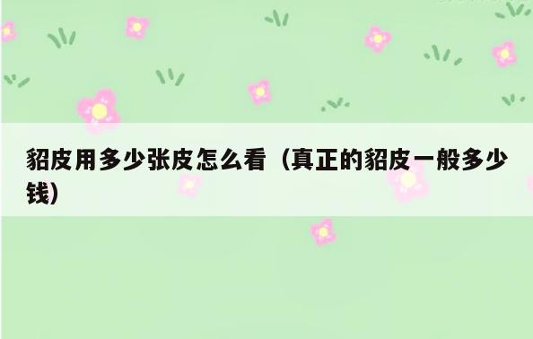 貂皮用多少张皮怎么看(真正的貂皮一般多少钱)