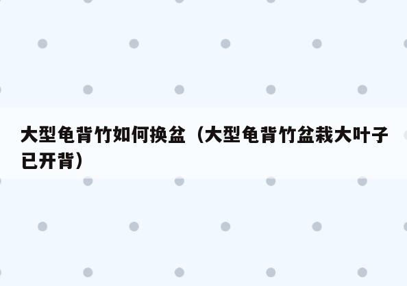 大型龟背竹如何换盆(大型龟背竹盆栽大叶子已开背)