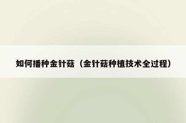如何播种金针菇(金针菇种植技术全过程)