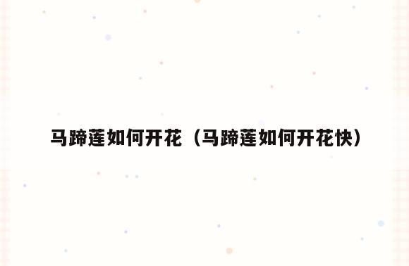 马蹄莲如何开花(马蹄莲如何开花快)