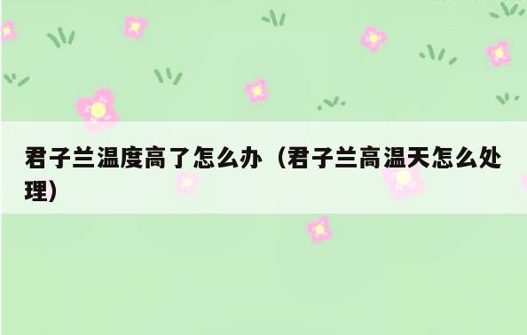君子兰温度高了怎么办(君子兰高温天怎么处理)