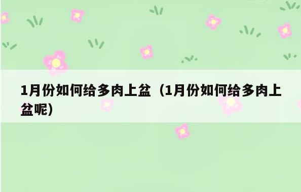 1月份如何给多肉上盆(1月份如何给多肉上盆呢)
