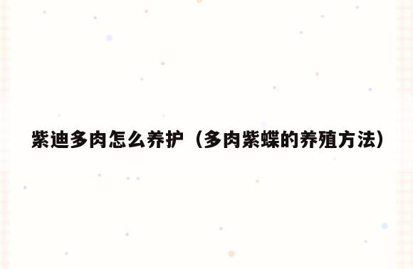 紫迪多肉怎么养护(多肉紫蝶的养殖方法)