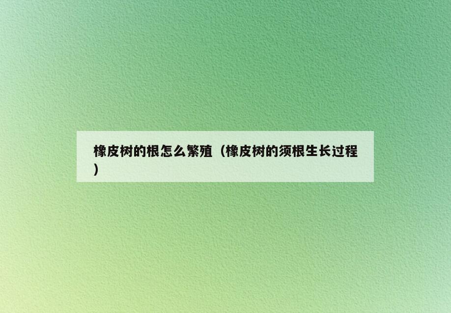 橡皮树的根怎么繁殖(橡皮树的须根生长过程)
