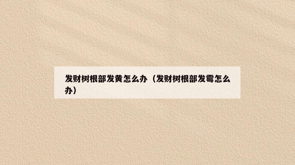 发财树根部发黄怎么办(发财树根部发霉怎么办)