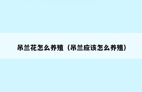 吊兰花怎么养殖(吊兰应该怎么养殖)