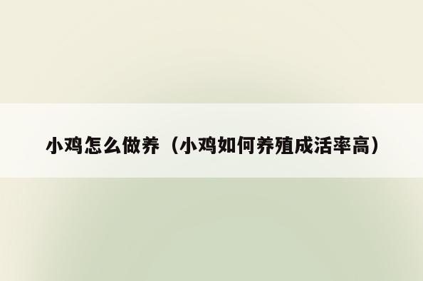小鸡怎么做养(小鸡如何养殖成活率高)